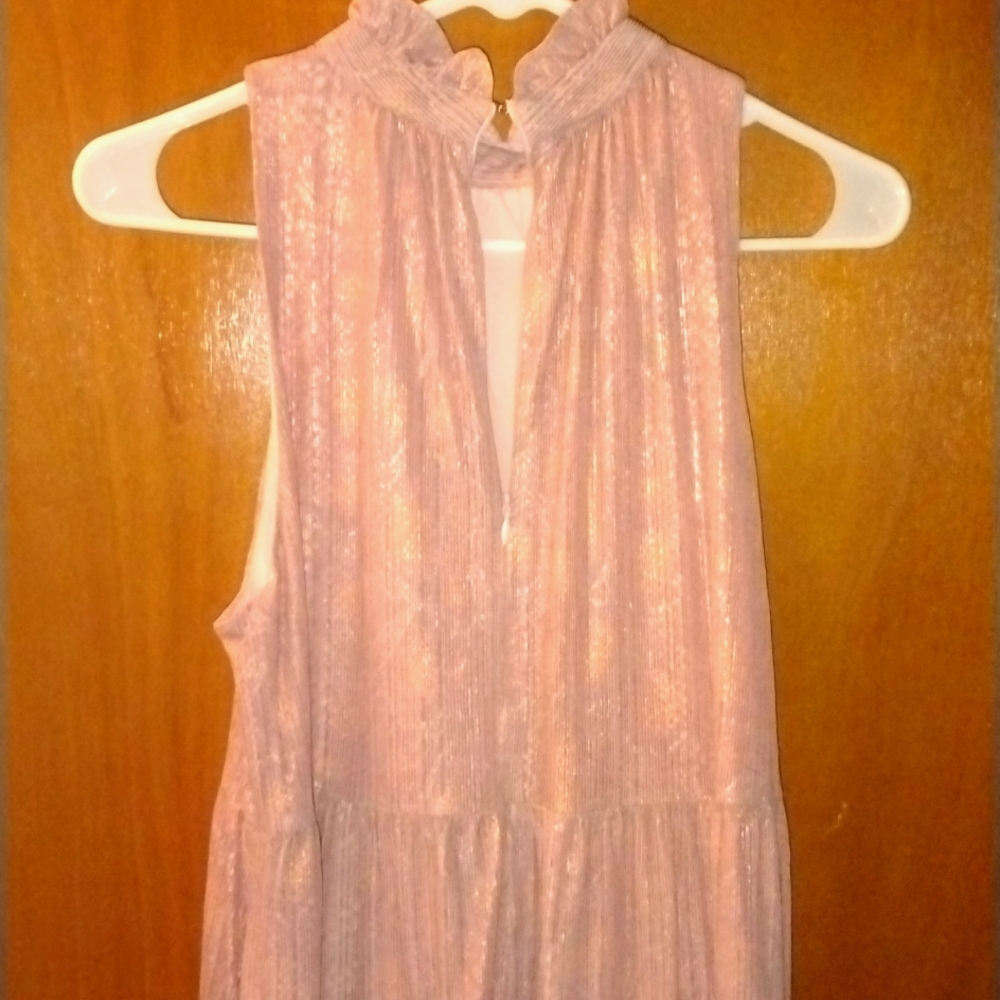 TCEC Pink Ruffle Dress - Picture 3 of 5